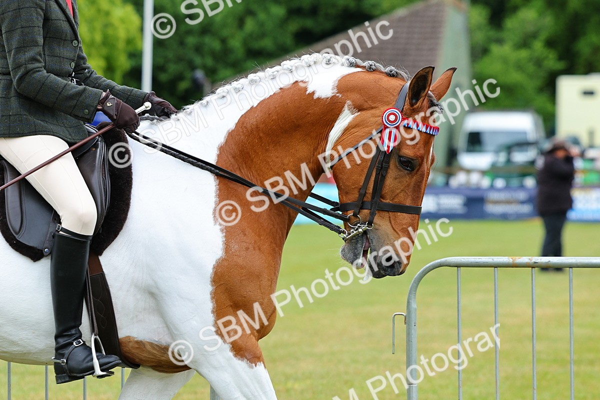 SBM_02466 - Class 9-11 Side Saddle including LIHS Rising Star Ladies Show Horse
