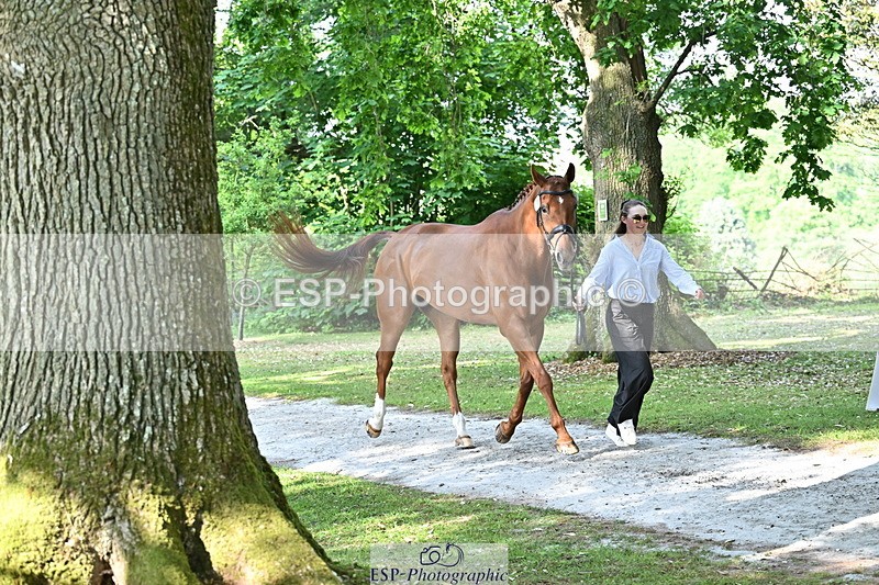 250521A-164758-01335 - C-259-Jasmine.Holmes-MSH.BONANZA