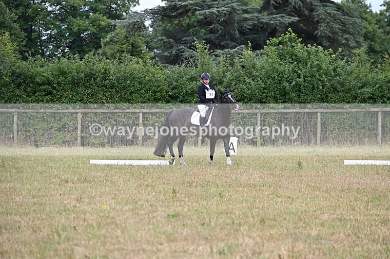 WJ6_2960 - Time 11:07 to 11:34