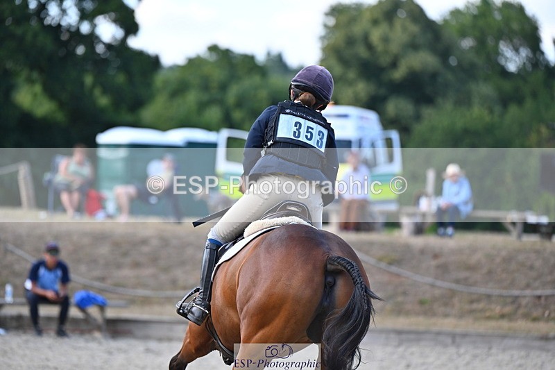 250802A-171456-08296 - H-353-Nancy.Wilson.Connell-BLUESTONE.BUTTERFLY