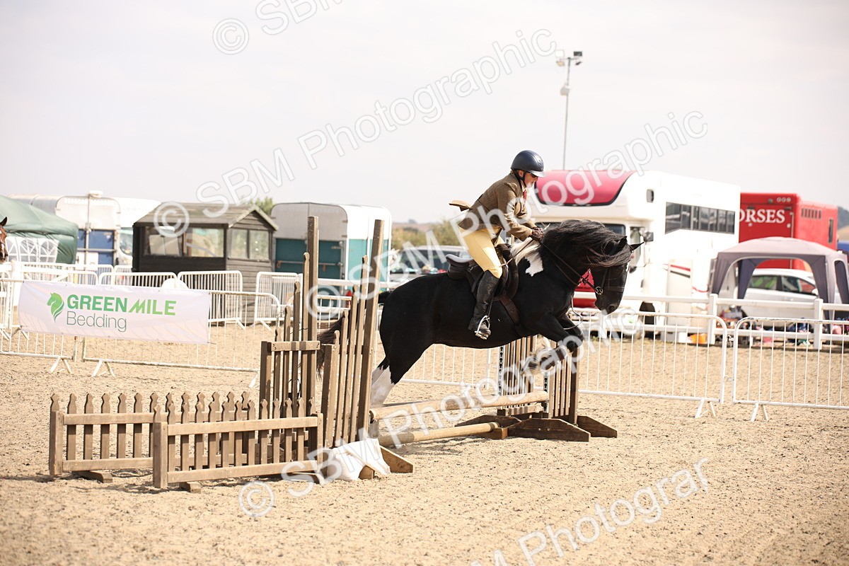 SBM_14213 - Class 407a - Working Veteran 60cm (15-19