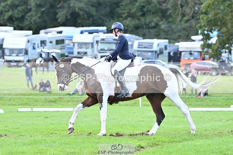 231020-145347-11019 - 669-FOXRIDGE.HIGH.JINX-Claire.Deuten-DR