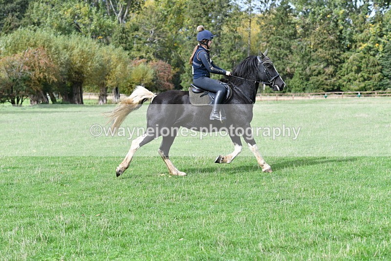 WJ5_9429 - Time 13:03 to 13:25