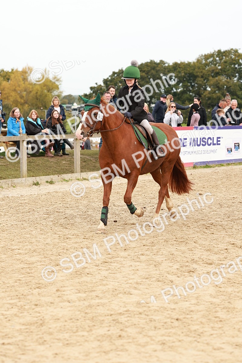 SBM_57642 - J11 - Junior Pony 50cm Championship