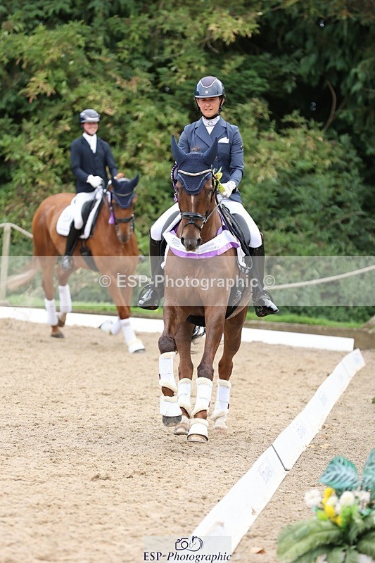 240810-170457-04532 - Elementary Silver