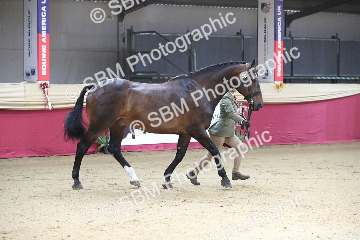 SBM_00531 - class 2a Area IH Veteran