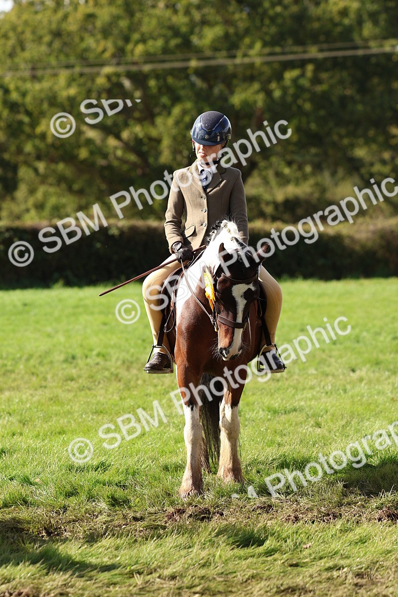 SBM_45324 - S27 - Young Veteran Ridden