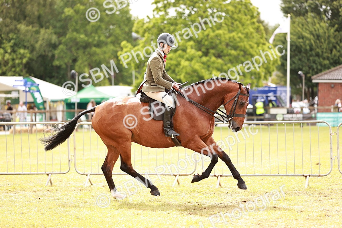 SBM_11564 - Class 81-84 - RIHS Ridden hunters Inc Ladies Hunter