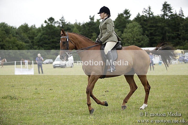 BVR160717-1032 - Ring 1 BVRC Show 16/07/17