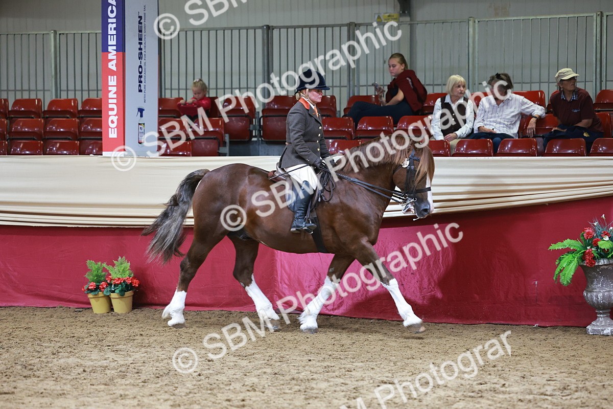 SBM_18704 - Class 952 - M&M Ridden Supreme Final