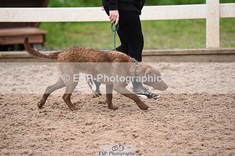 240518A-124940-01217 - Cls 5 Best Purebred