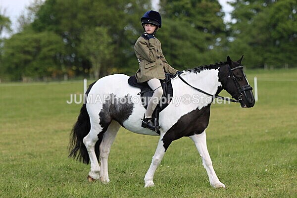 IMG_4911 - Working Hunter