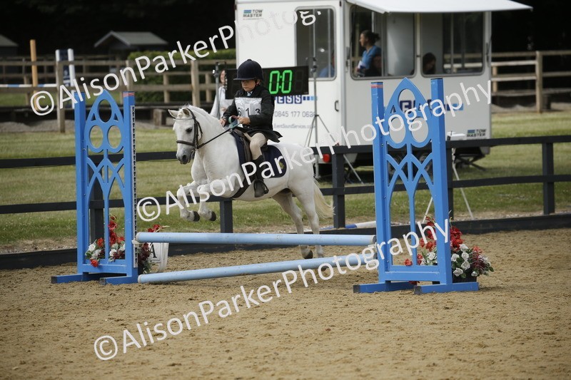 20250622-3726 - 50cm