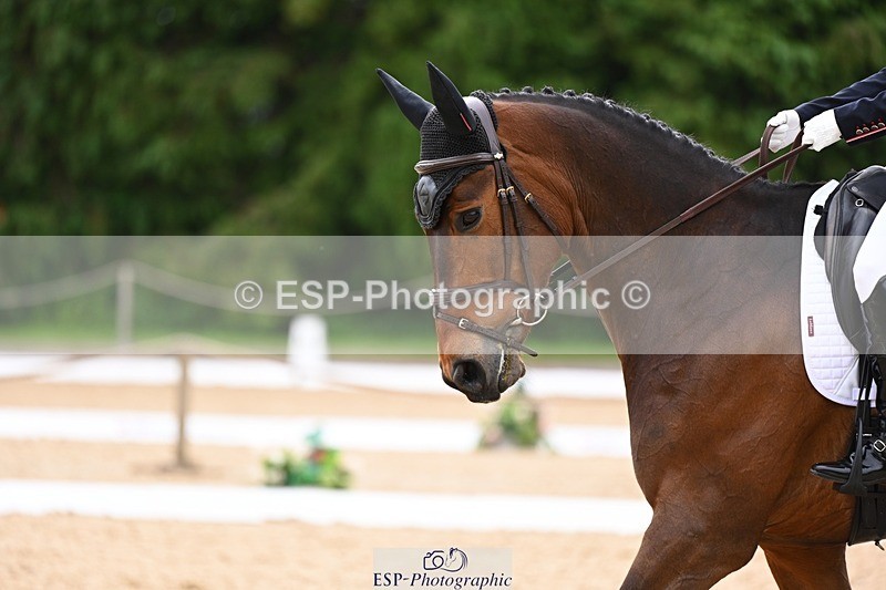 240524-091805-07779 - 504-LORDSHIPS_GRAFFALO-Rosalind_Canter