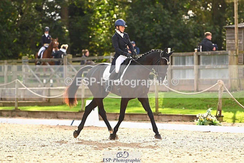 231021-151852-21112 - 361-ELLIES.CANDY.GIRL-Carolyne.Ryan-Bell-DR