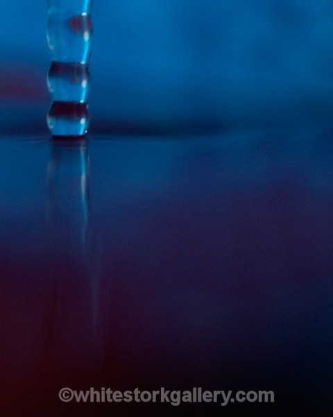Blue 1 - Up Close !