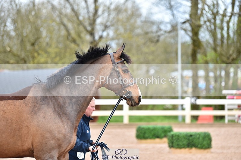 240417A-143408-00565 - 2pm to 3pm