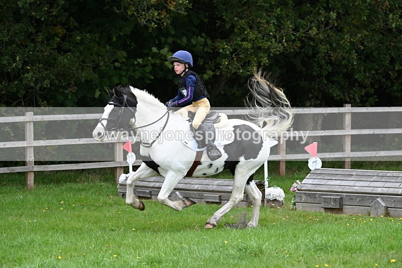 WJ7_4326 - 60cm Time 10:52 to 11:02