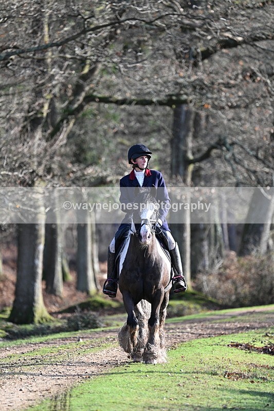 WJ7_7782 - Line 3 (no line 4 or 5)