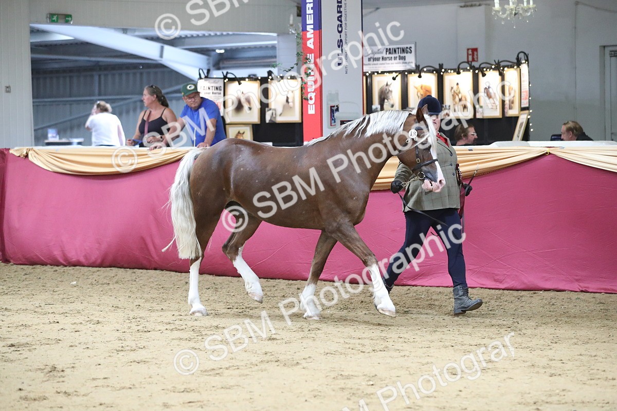 SBM_06497 - Class 9R Regional- IH Pre Vet