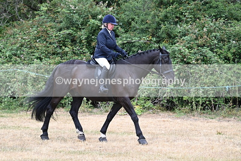 WJ7_0968 - Class 3 Family Mount