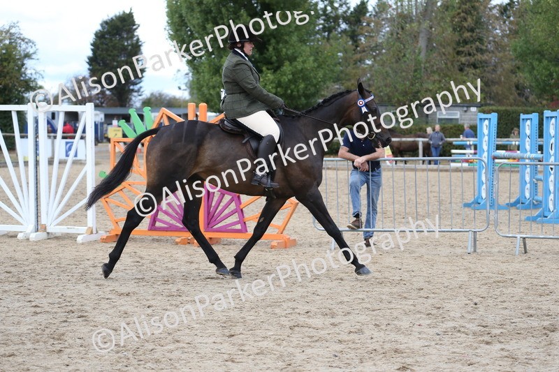 20260831-2595 - Class 15 - Ridden Retraining of Racehorses