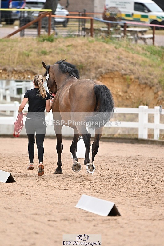 250716-145314-01475 - Trot Up 2.30 to 3.30