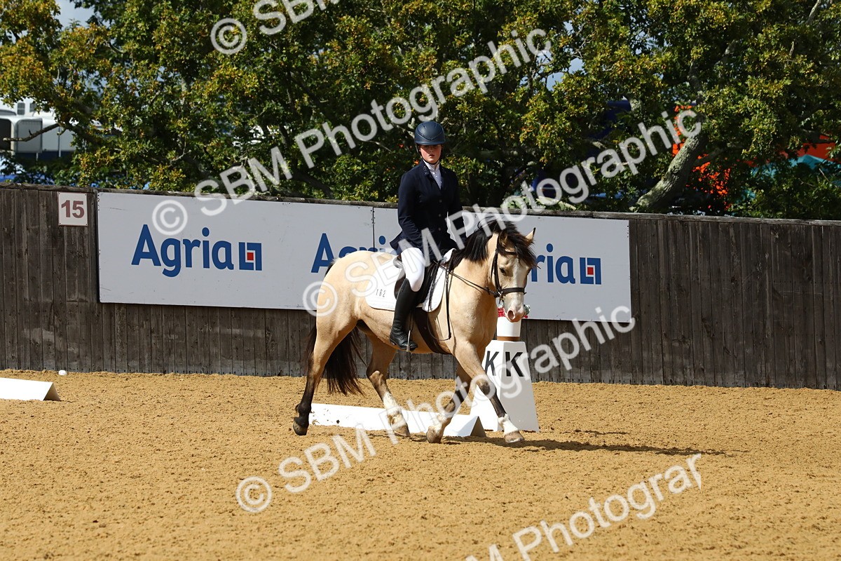 SBM_23462 - D5 - Small Tour Championshop Intro 2