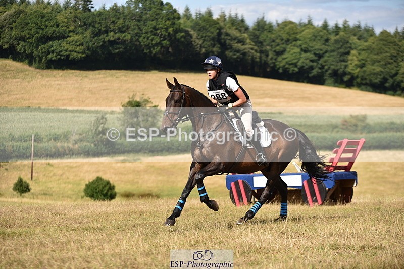 250802A-162320-07724 - F-288-Emilia.Wharton-SIR.LARRY.II