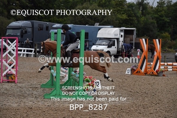 BPP_8287 - CLASS 1 Club/ Unaffiliated 60cms Open