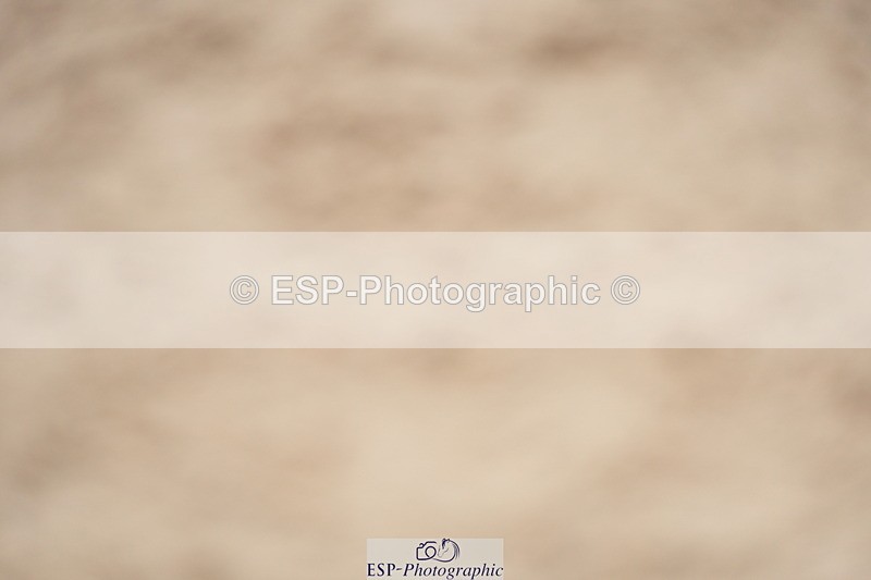 230924A-115844-04682 - 100 SJ 11.00 to 12.00