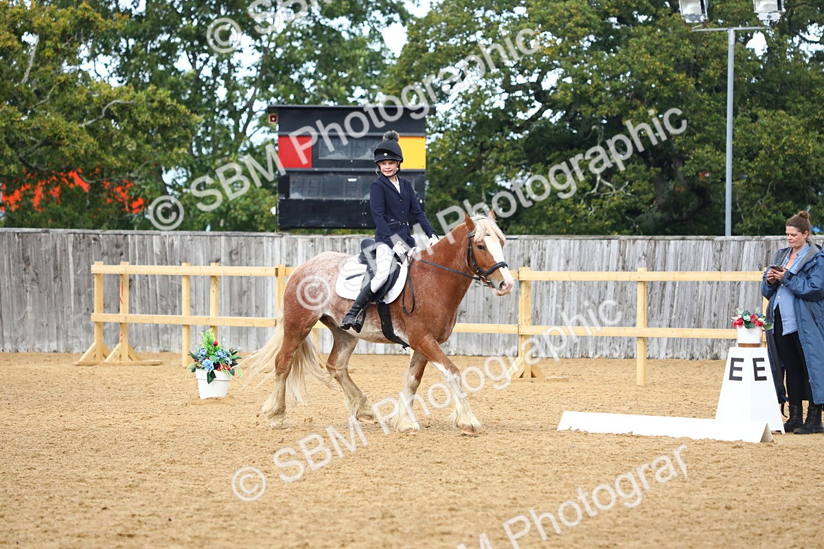 SBM_42646 - D21 - Junior Championship Intro 1