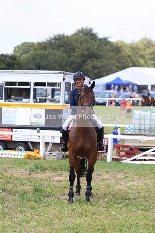 3E7A3461 - Class 10: Senior Foxhunter/1.20 open