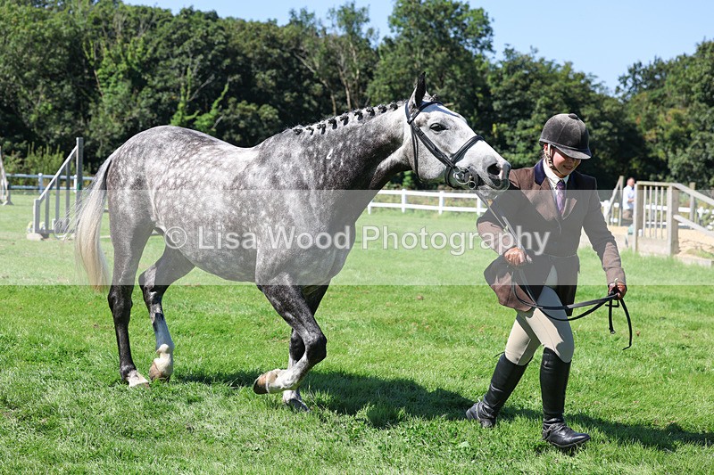 3E7A8472 - Class 4: Novice working Hunter