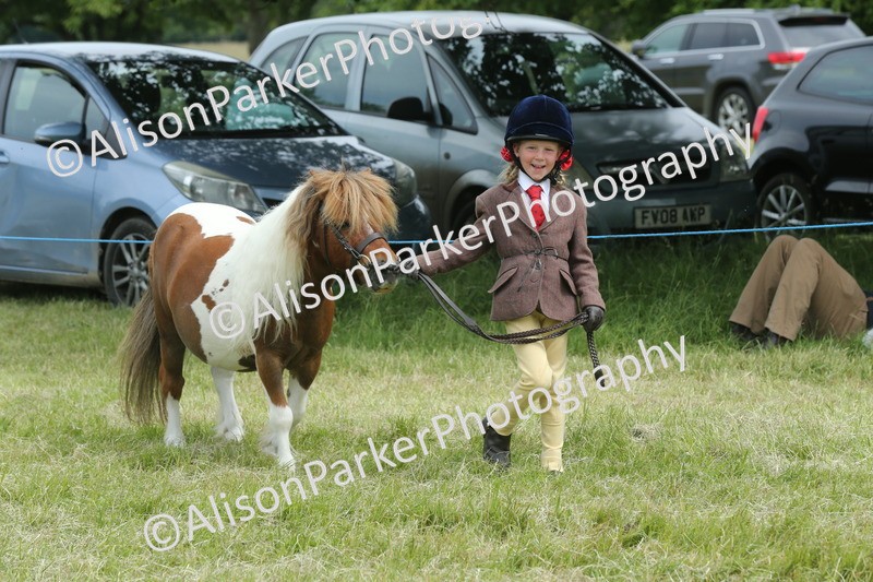 20260614-4259 - Class 18 - Best Junior Handler