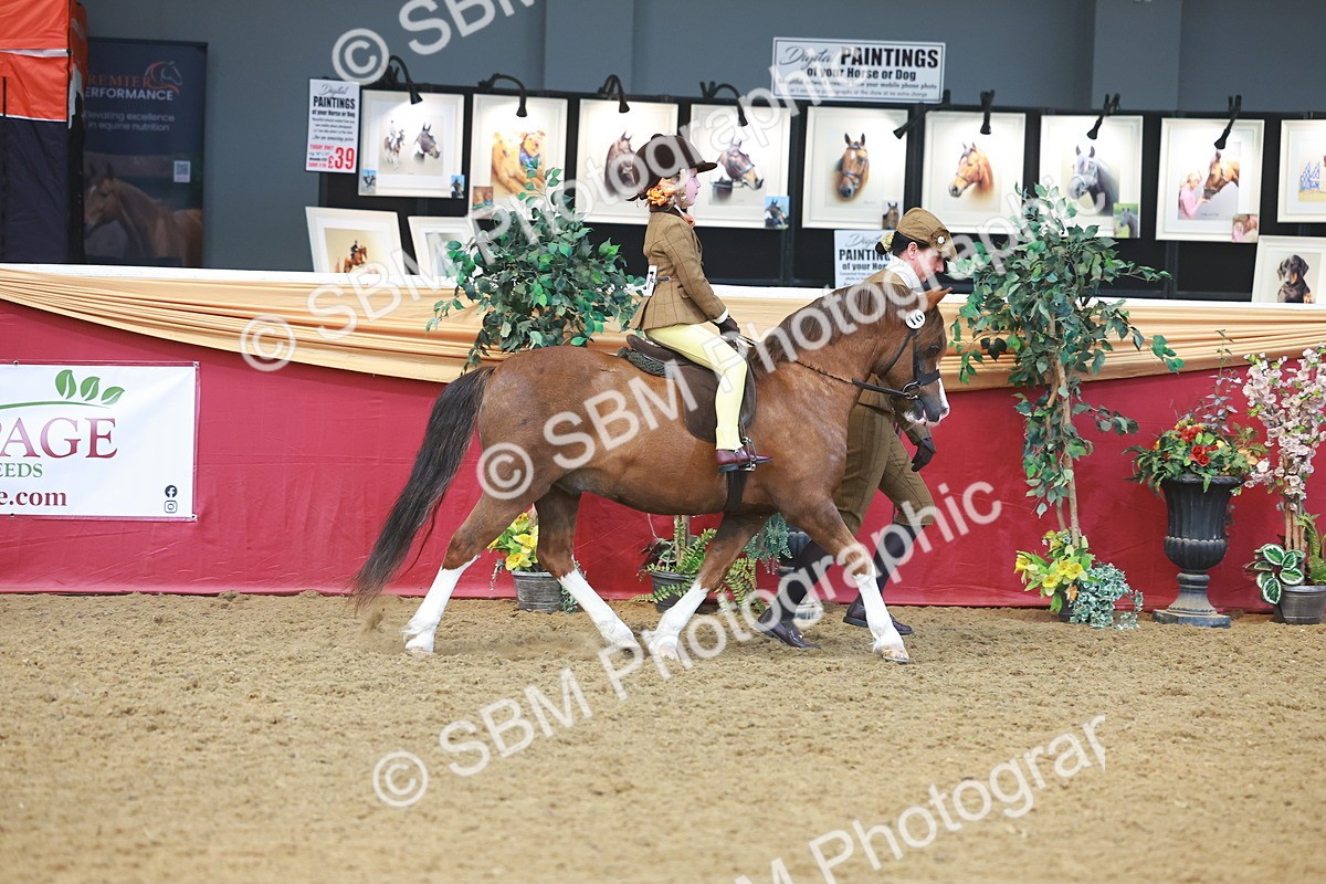 SBM_12495 - Class 103 - HOYS Veteran Qualifier - Ridden Pre Vet