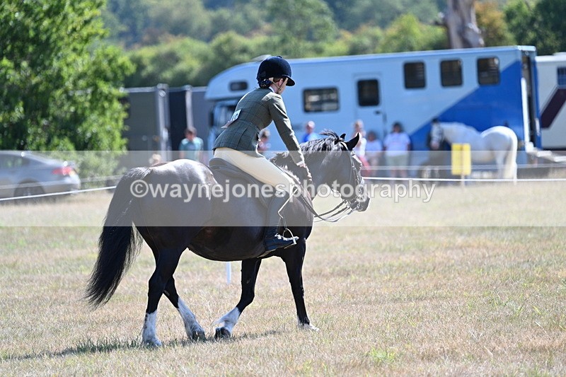 WJ7_4261 - Class 9 Mountain & Moorland Ridden