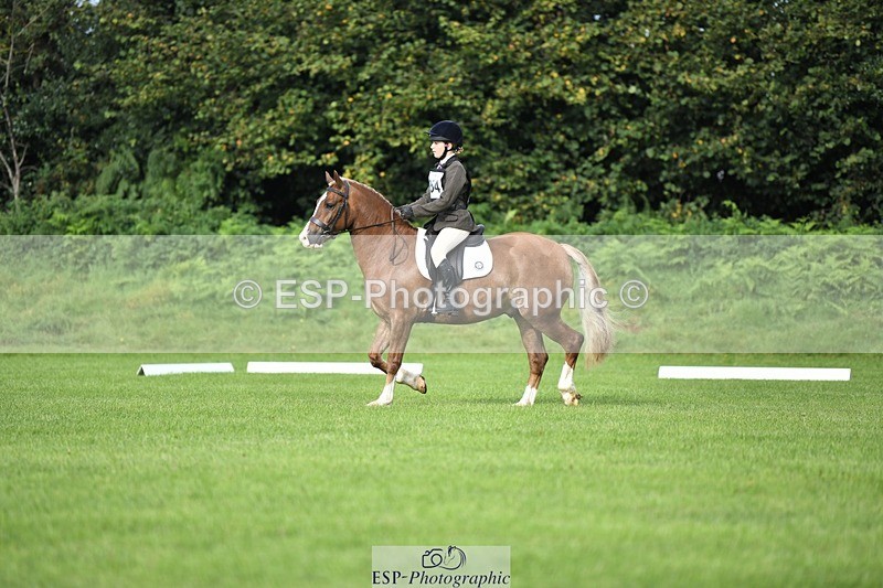 230826-091053-15038 - Sections C & D 9 to 10am