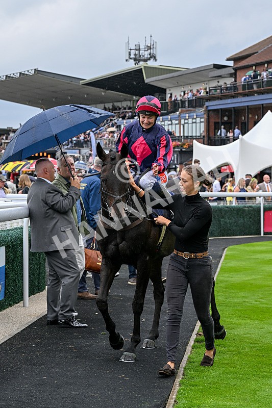 290826-Race 2-Valley Of Flowers-6011 - Race 2 2.20pm Napoleons Casino And Restaurant Hull Handicap