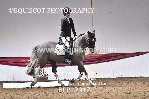 BPP_2912 - 10 - K MILLER