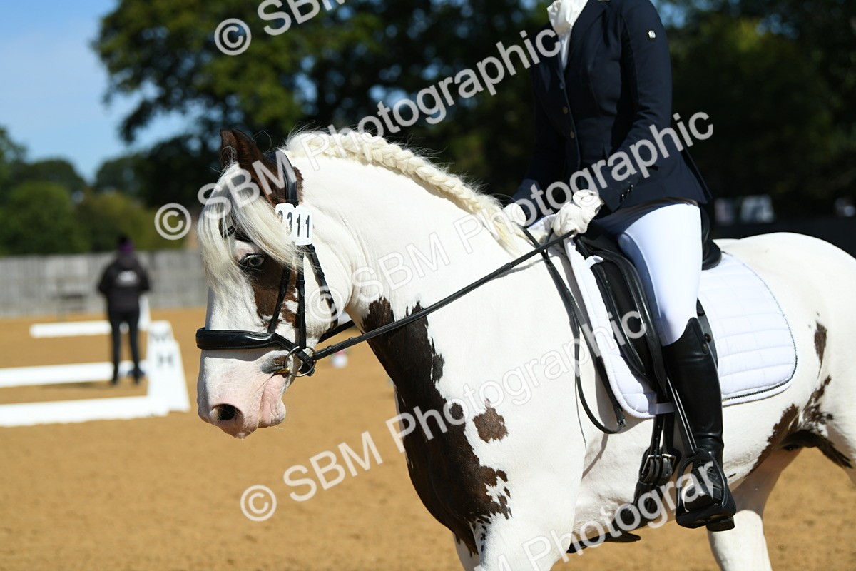 SBM_20658 - D13 - Grand Tour Championship - Prelim 12