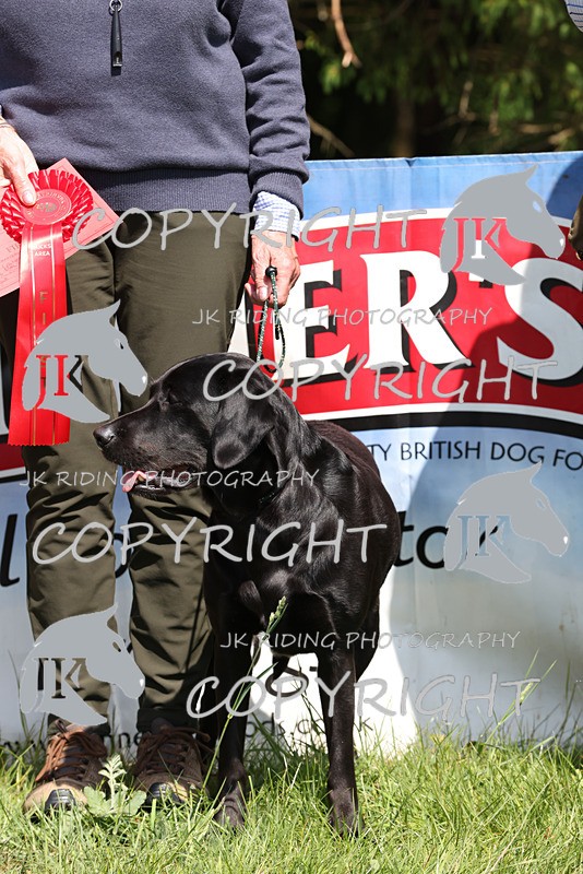 2R6A8921 - Prize Giving/General shots