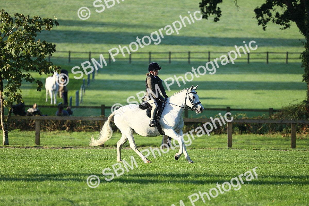 SBM_31697 - S28 - Nursery Stakes Working Hunter Pony