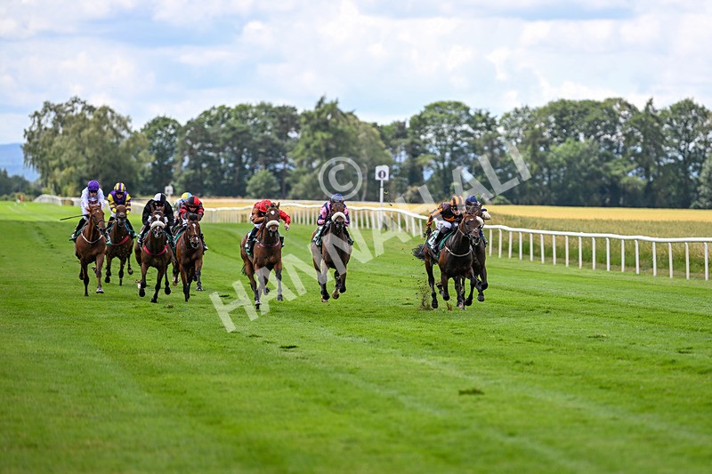 020725-Race 1-Dandy Style-1738 - Race 1