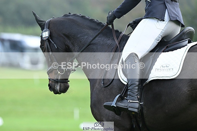 231020-094402-05747 - 464-IMPERIAL.TANGLE-Deborah.Burrell-DR