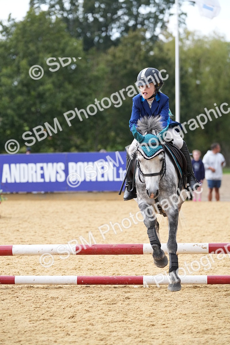 SBM_74705 - J4 - Mini Tour Junior Pony 45cm Championship