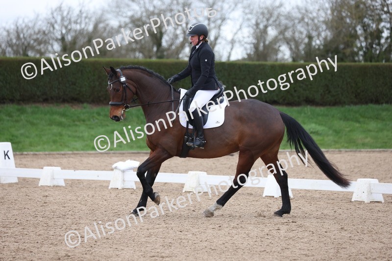 20260301-0442 - Class 3 - Novice 4