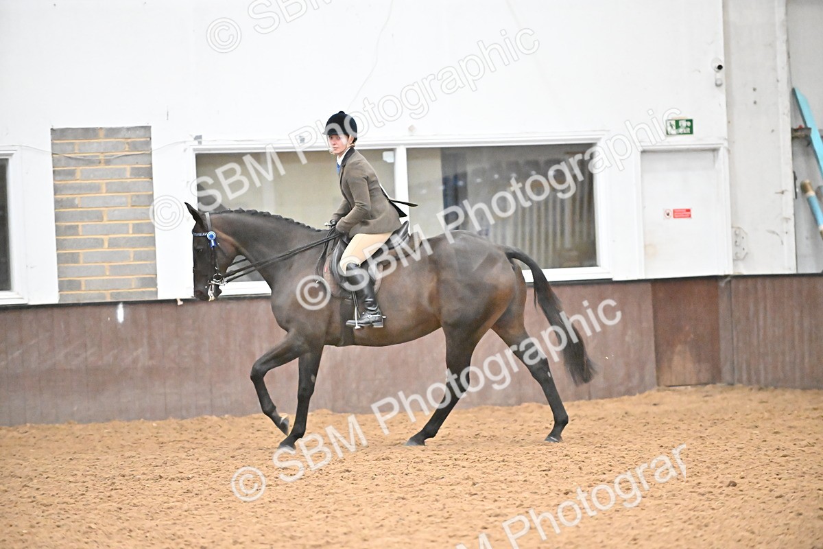 SBM_002386 - Class 22 - BSHA Ridden Hack & Riding Horse