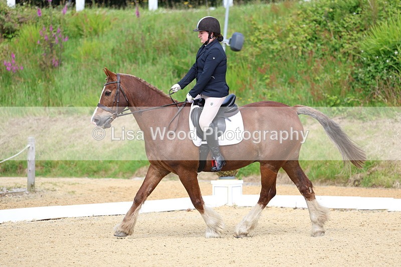 3E7A1119 - Class 1: Intro 2 2024 Section A