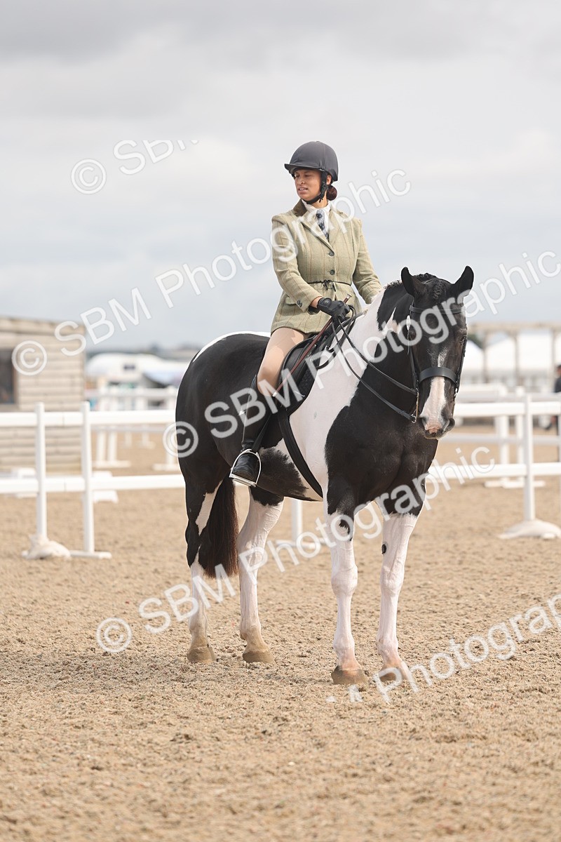 SBM_04530 - Class 19 - Horse/Pony Judge would most like to take home